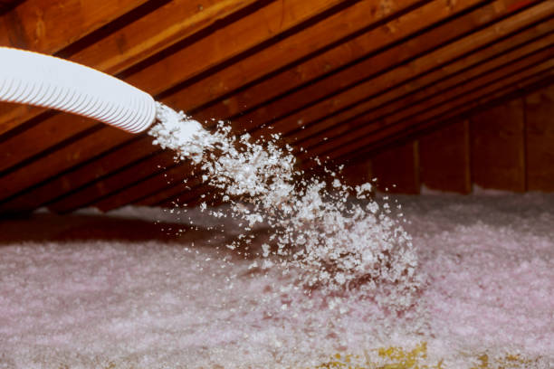 Reliable Carlin, NV Insulation Contractor Solutions