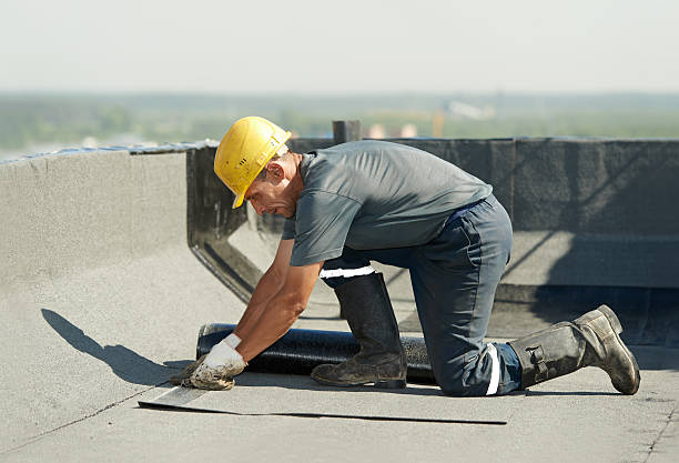 Best Insulation Installation Cost  in Carlin, NV